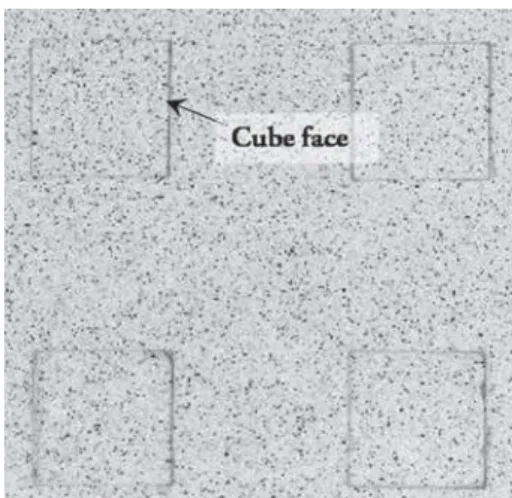 Fig. 5 Image in the horizontal plane at z/h = 1 obtained with BK7 cubes and a bi-telecentric lens to avoid parallax