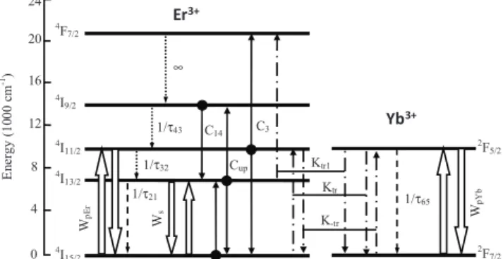 Fig. 3. Energy level transitions of the Er 3+ -Yb 3+  system considered  in our calculations.