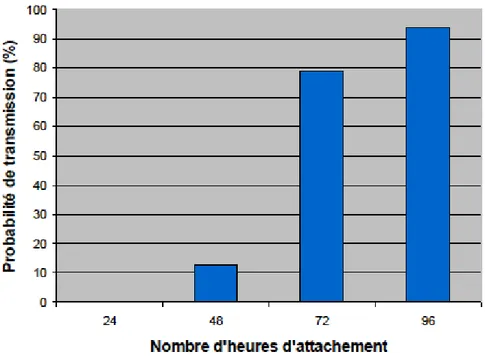 Figure 1.3 Probabilité cumulative de transmission de B. burgdorferi à une souris selon la durée  d’adhésion de la tique (tiré de : The Connecticut Agricultural Experiment Station, 2007) 