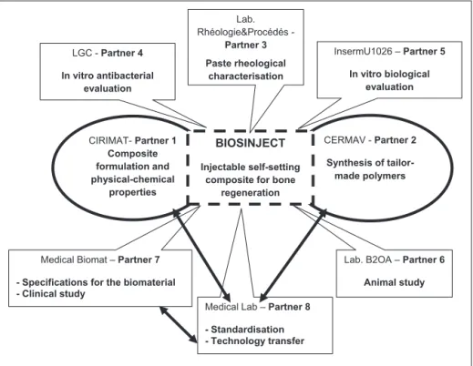 Fig. 1. Schematic representation of the partnership and main tasks established for BIOSINJECT project based on each partner’s scientific and/or technological specialties.