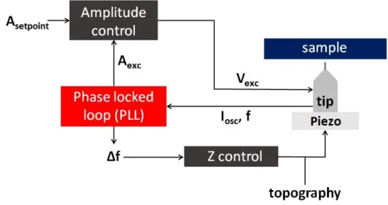 Figure 1.1: Scheme of different feedback loops in nc-AFM measurement with frequency modulation mode.