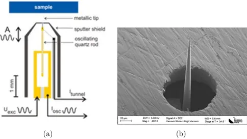 Figure 1.7: a) Schematics of Kolibri sensor from [31], b) SEM image of Kolibri tip