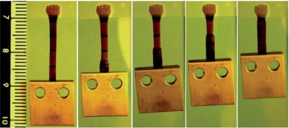 Figure 3. Series of image showing a spatiotemporally controllable shape recovery process at room  temperature by separated light irradiation in four sections (successively from the bottom section  to the top section) of a cross-linked PCL/AuNP sheet of 100