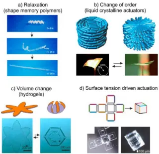 Figure 13. Four main classes of polymer actuators based on different actuation mechanisms [90]: 