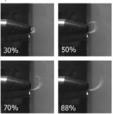 Figure 20. Digital images of the twisted films under different humidity conditions. [133] 