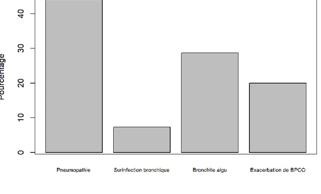 Figure 7 : Représentation des diagnostics de la population de l’étude 