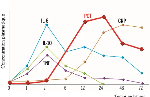 Figure 3 : Cinétique de la PCT, de la CRP et des cytokines pro-inflammatoires dans le sepsis  Adapté  de  Meisner  et  al,1999 38  ;  issu  de  VIDAS®  B.R.A.H.M.S  PCT  [Internet] bioMérieux  Clinical  Diagnostics 39 
