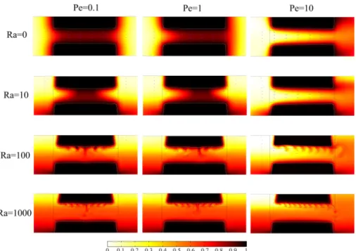 Figure 7: Dissolution of a tube for various P´eclet and Rayleigh numbers (from [18])