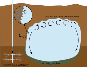 Figure 1: Cavity dissolution: an illustration of various multi-scale problems