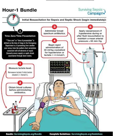 Figure 15 : schéma de prise en charge du patient en choc septique selon les recommandations de la  SCC remises à jour en 2018 (60) 