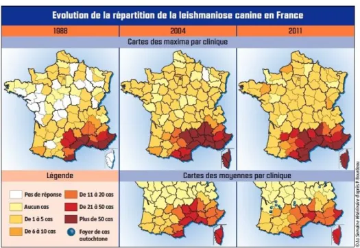 Figure 2 : Evolution du nombre de cas de leishmaniose en France de 1998 à  2011(La Leishmaniose gagne du terrain en France, Bourdeau P, Semaine Vétérinaire - 