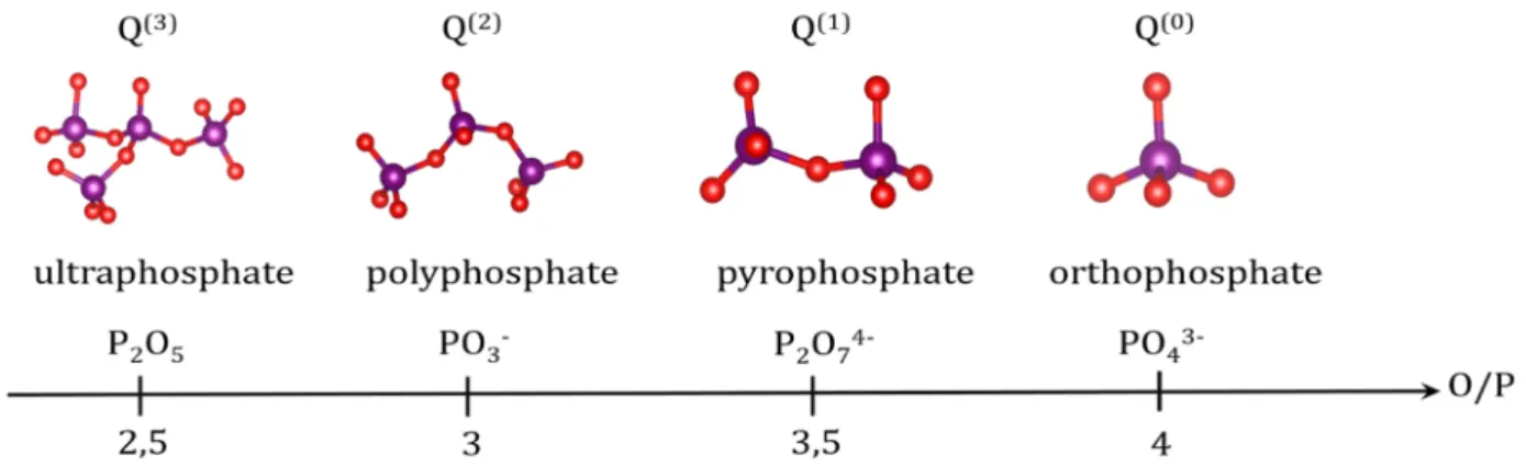 Figure 1.4: Représentation des différents degrés de polymérisation des phosphates en fonction du  rapport O/P et de la notation Q (n) 