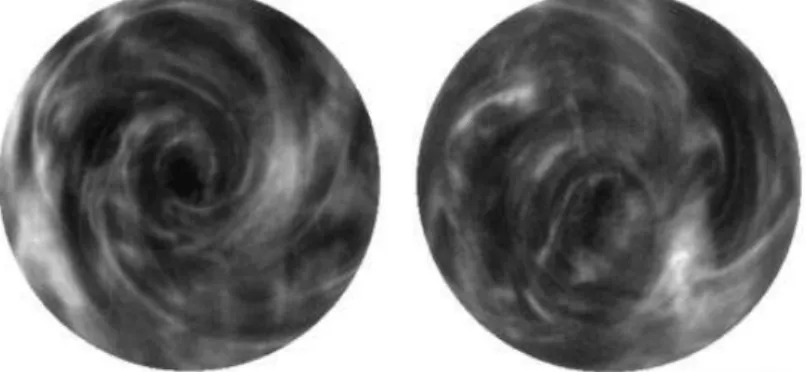Figure 3.4 – Snapshots of the flow field in the elastic turbulence regime in a swirling flow between two parallel disks (extracted from [9]).