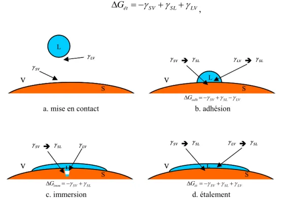 Figure 5 : Mouillage de la surface d'une particule par une goutte de liquide. 