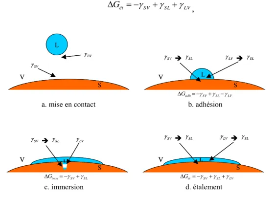 Figure 5 : Mouillage de la surface d'une particule par une goutte de liquide. 