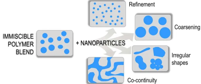 Figure 1-8 Scheme of the possible evolution of biphasic morphology influenced by  the incorporation of nanoparticles (de Luna and Filippone, 2016)