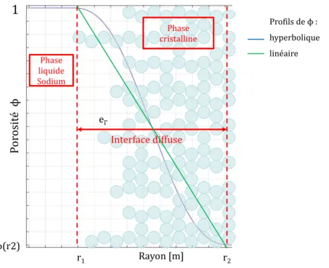 Figure II-17 : Profil de la porosité au sein de l’interface diffuse pour (z,t) donné   