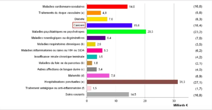 Figure  8:  Répartition  2017  des  dépenses  d'assurance  maladie  –  140  Mds  €  pour  le  Régime  Général (164 Md € pour l'ensemble des régimes), PLFSS 2020