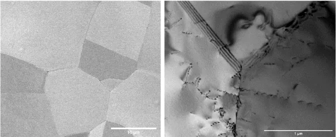 Figure 39 : Schématisation de la microstructure hypertrempée. Les éléments en solution solide sont  représentés par des points jaunes et bleus