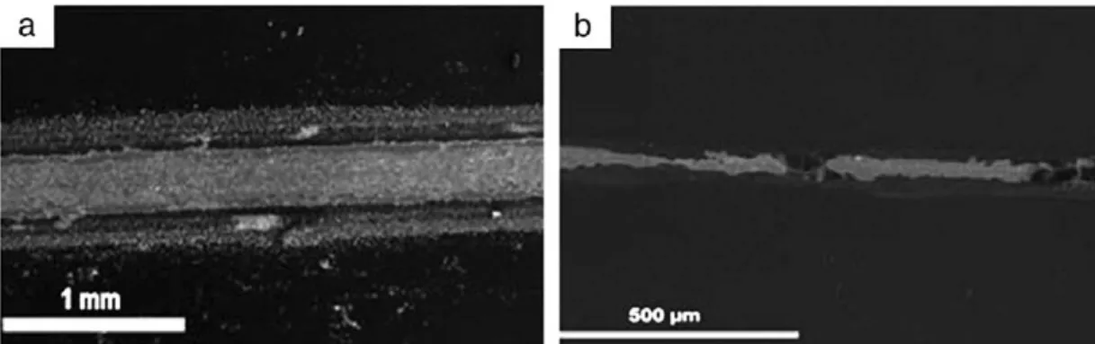 Fig. 16. Sem observations of worn surfaces after 1000 cycles of coatings heat treated at: (a) 110 •c and (b) 250  •c.