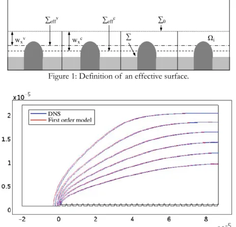 Figure 2: Concentration field contours for the initial and the effective domain, for a flow entrance  velocity of  1m∙s -1  and Schmidt number of  1