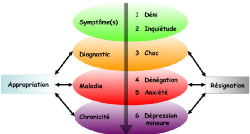 Figure 1: Modèle intégré de l’appropriation d’une maladie  chronique 10