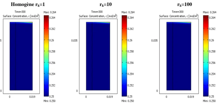 Figure 9 : Champs de fraction massique de la mèche pour différents  contrastes de perméabilité r k  dans le  cas du ciel δ=2.5mm, t cris  =900s 