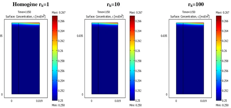 Figure 21 : Champs de fraction massique de la mèche pour différents contrastes de perméabilité r k    dans le cas du ciel δ=15mm