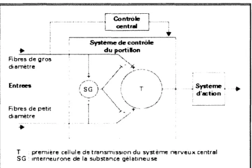 Figure 4.  La théorie du portillon