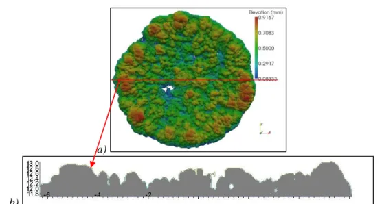 Fig. 6. a) Efflorescence surface topography, for the ROBU class 0 pellet at the end of  experiment