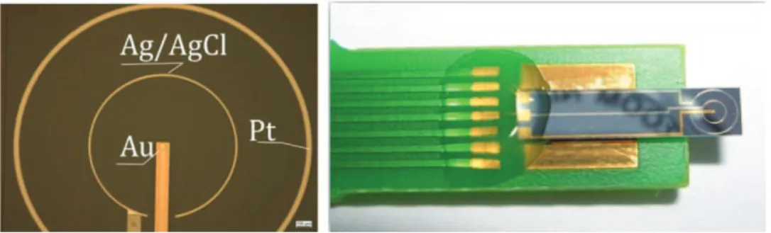 Fig. 2. Details of the (Au–Pt–Ag) electrochemical microcell chip and realisation of the (Au–Pt–Ag/AgCl) ElecCell microsensor.