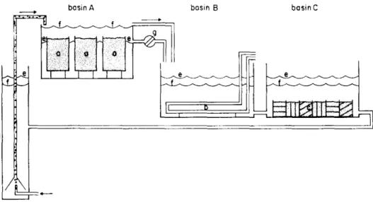 Figure 1.13 – Scheme of the microsystem used by Farke and Berghuis (1979a) showing the relative position of basin A with containers (a) filled with sediment in which adult Arenicola  ma-rina live, of basin B with cooling pipes (b), and basin C with three d