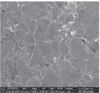 Fig. 17 – SEM image of the silver paint deposited over the surface of sample M18.