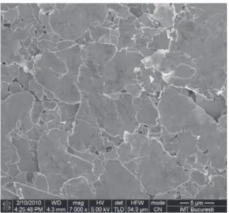 Fig. 17 – SEM image of the silver paint deposited over the surface of sample M18.