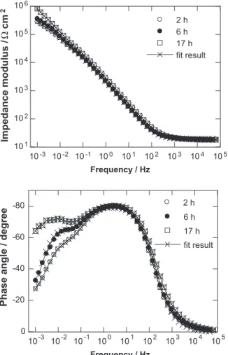 Fig. 5. Electrochemical impedance diagram obtained after a preliminary cathodic polarisation at −1 V/SCE for 1 h of the stainless steel and then 17 h of immersion at E corr (aerated solution).