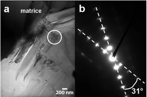 Figure 25 : Image en champ clair de l'interface entre deux secteurs dans un sphéroïde de graphite et cliché  de diffraction correspondant 