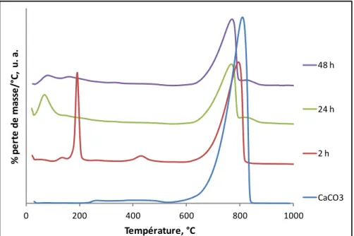 Figure  27  :  Dérivées  des  courbes  thermogravimétriques  (DTG)  du  carbonate  de  calcium pur (CaCO 3 ) et des poudres Ca-HA à 2 h, 24 h et 48 h de synthèse