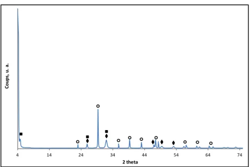 Figure 29 : Diffractogramme aux bas angles de la matrice phosphocalcique à 48 h de  réaction