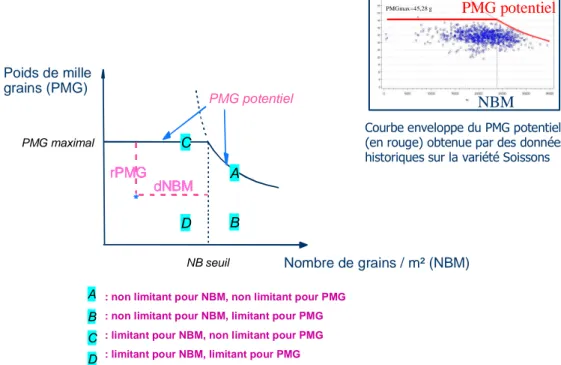 Figure 1. Comparaison du comportement d’un génotype révélateur à son potentiel. 