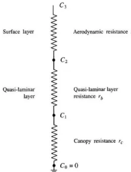 Figure 1-3 : Schématisation du modèle des résistances pour le dépôt sec  (Seinfeld et Pandis, 2006) 