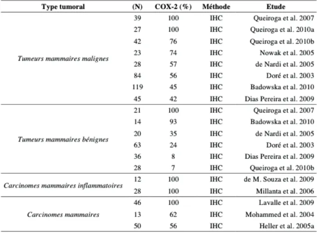 Tableau 3 : Expression de la COX-2 et tumeurs mammaires canines  C. Les carcinomes épidermoïdes 