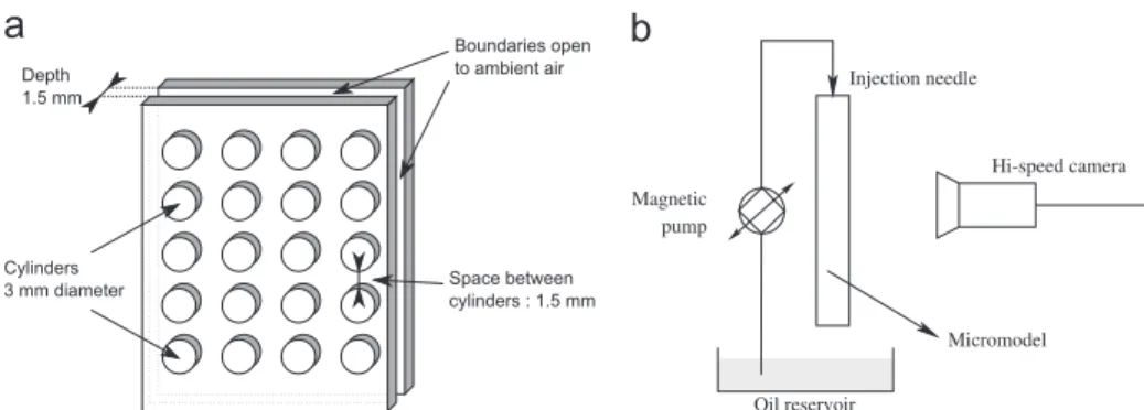 Fig. 1. Experimental setup. (a) Micromodel, (b) Schematic representation of the setup.
