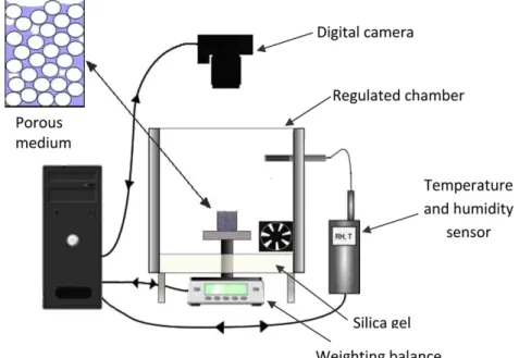 Fig. 1. Sketch of experimental set-up. The light source and the cryostat are not shown.