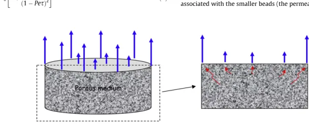 Fig. 5. Sketch of evaporation ﬂux peripheral effect. The greater evaporation ﬂux at the periphery induces greater liquid velocities within the region of the porous medium adjacent to the evaporative surface