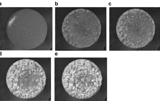 Fig. 7. Time of ﬁrst crystallization as a function of average bead size for various initial concentrations (each empty circle corresponds to an experiment)