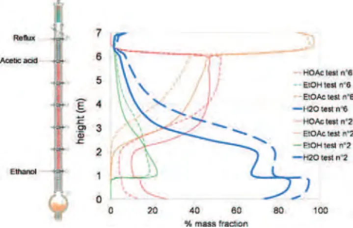 Fig. 16 – Comparison of composition profiles for test n ◦ 2 (stoichiometric feed) and n ◦ 6 (ethanol excess).