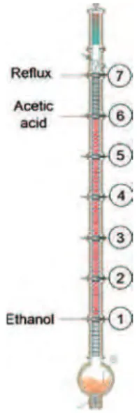 Fig. 1 – Column simplified scheme.