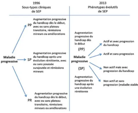 Figure 2. Comparaison de la description phénotypique des formes progressives de la SEP  selon les consensus de 1996 et de 2013, adapté de Lublin 2013