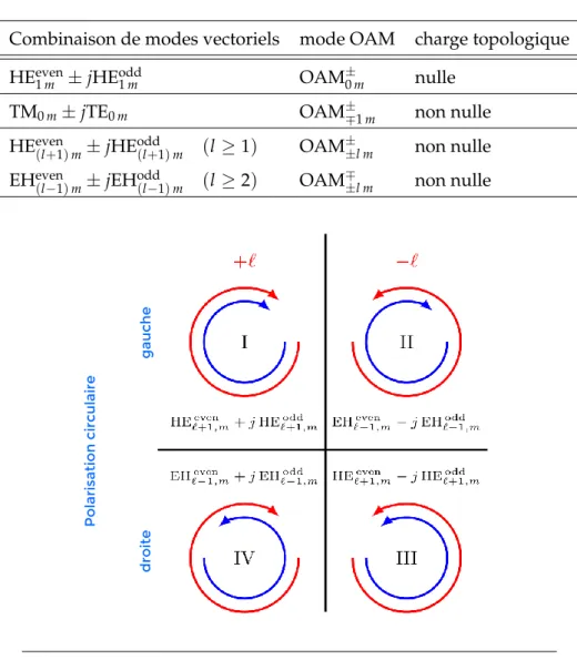 Figure 1.4 – Les quatre états d’un mode OAM pour un groupe ± l (l > 0) (source : modifiée de [27]).