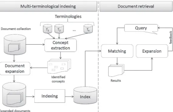 Fig. 1. Multi-terminology indexing and retrieval framework.